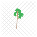 Nature Plant Forest Icon