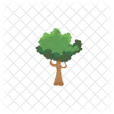 Nature Plant Forest Icon