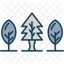 Forest Nature Tree Icon