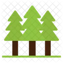 Forest  Icon