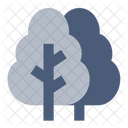 Forest  Icon