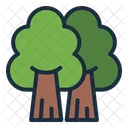 Forest  Icon