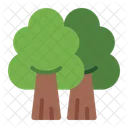 Forest  Icon