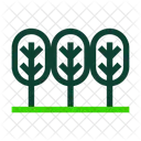 Forest  Icon