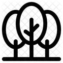 Forest  Icon