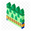 Forest  Icon