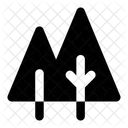 Forest  Icon