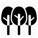 Forest  Icon