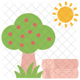 Forest  Icon