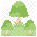 Forest  Icône