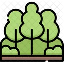 Forest  Icon