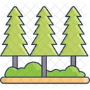General Icon Canva Icône