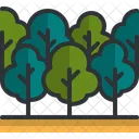 Forest  Icône
