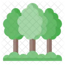 Forest  Icon