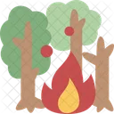 Forest  Icon