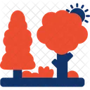 Forest  Icon