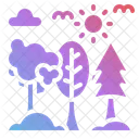 Forest  Icon