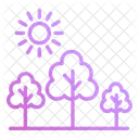 Forest  Icon
