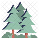 Forest  Icon