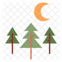 Forest Night  Icon