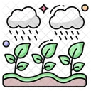 Forest Rainfall  Icon