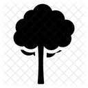 Tree Natural Tree Shrub Icon
