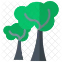 Forest Woodland  Icon