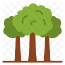 Foresta  Icon