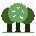 Electric Car Plant Biofuel Icono