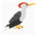 Forestry Bird  Icon