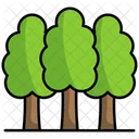 Foret Nature Arbre Icon