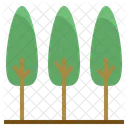 Foret Arbre Ecologie Icon