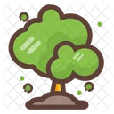 Foret Nature Arbre Icon