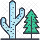 Cactus Sapin Arbre Icon