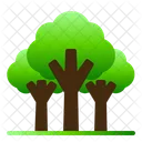Foret Tropicale Tropical Nature Icon