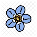 Forget Me Not Icon