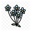 Forget-Me-Not  Icon