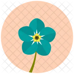 Forget Me Not  Icon