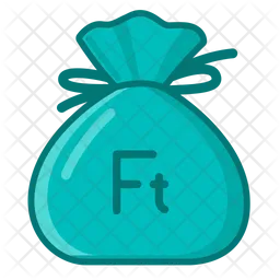 Forint  Icon