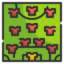 Formacion de futbol  Icono