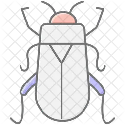 Forra  Ícone