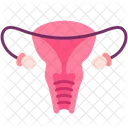 Fortpflanzungssystem Eierstock Vagina Symbol