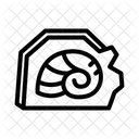 Fossil Ancient Paleontology Icon