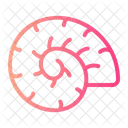 Fossil  Icon