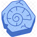 Fossil  Icon