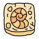 Fossil  Icon