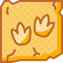 Fossil Dinosaur Paleontology Icon