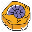 Fossils Skull Bone Icon