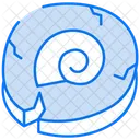 Fossils Skull Bone Icon