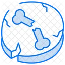 Fossils Skull Bone Icon